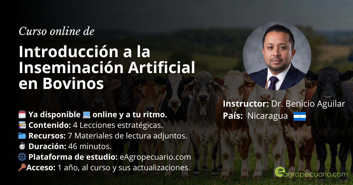 Introducción a la Inseminación Artificial en Bovinos