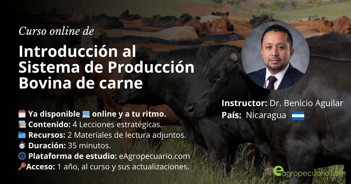 Curso Online de Sistemas de Producción Bovina de Carne